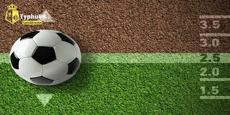 Điểm danh các cách chơi tài xỉu bóng đá hiện có tại typhu88