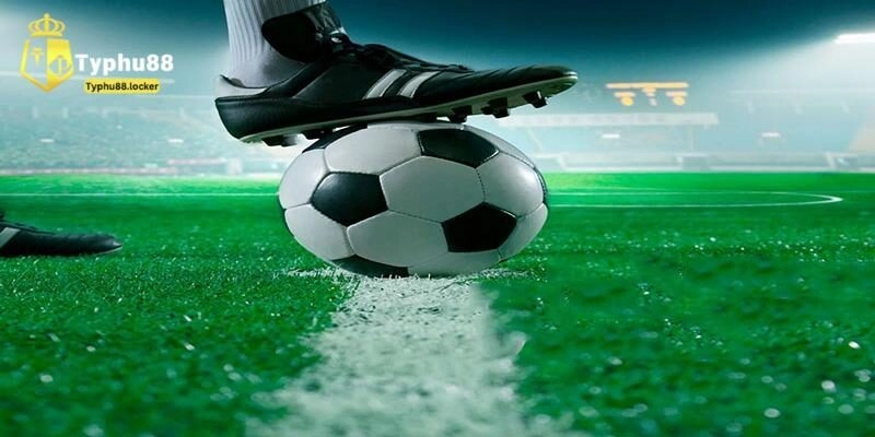 Giới thiệu về cá cược tài xỉu