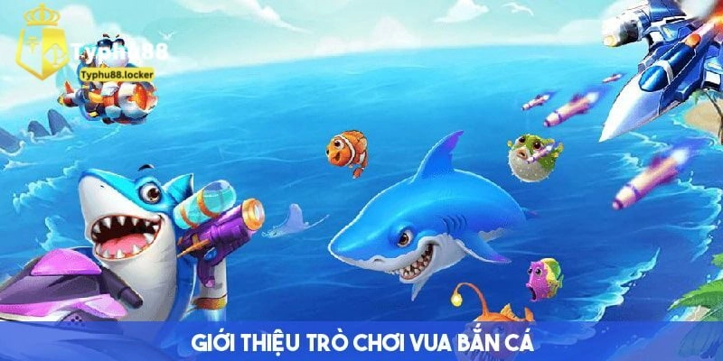 Vua bắn cá là gì?