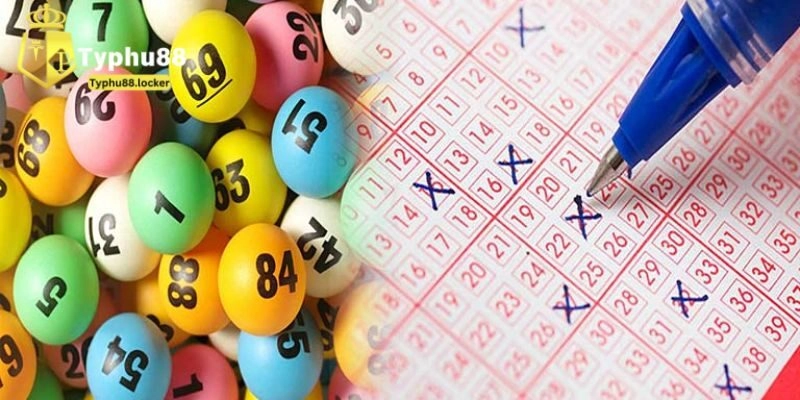 Vì sao bạn hay gặp không may khi chơi cá cược?