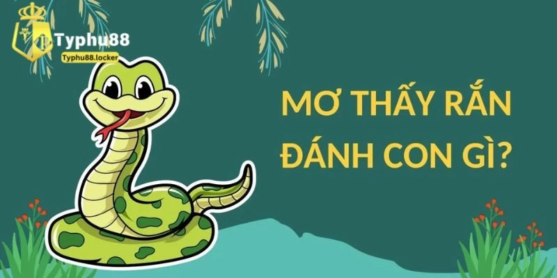 Nằm mơ thấy rắn đánh con gì? Những mã may mắn hay gặp