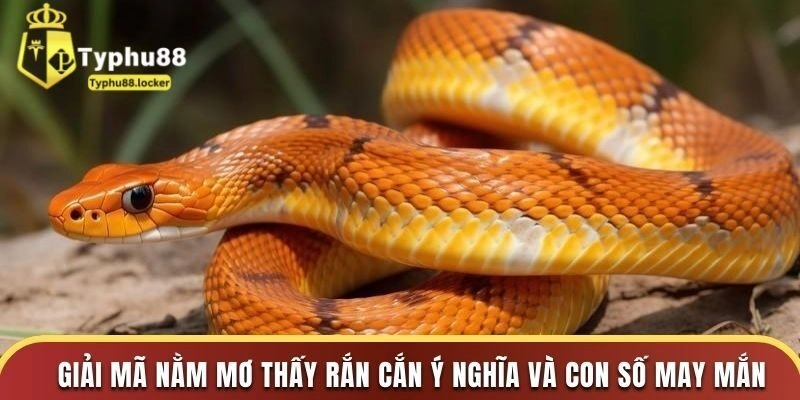 Gặp nhiều “Na” quấn quanh cổ mình